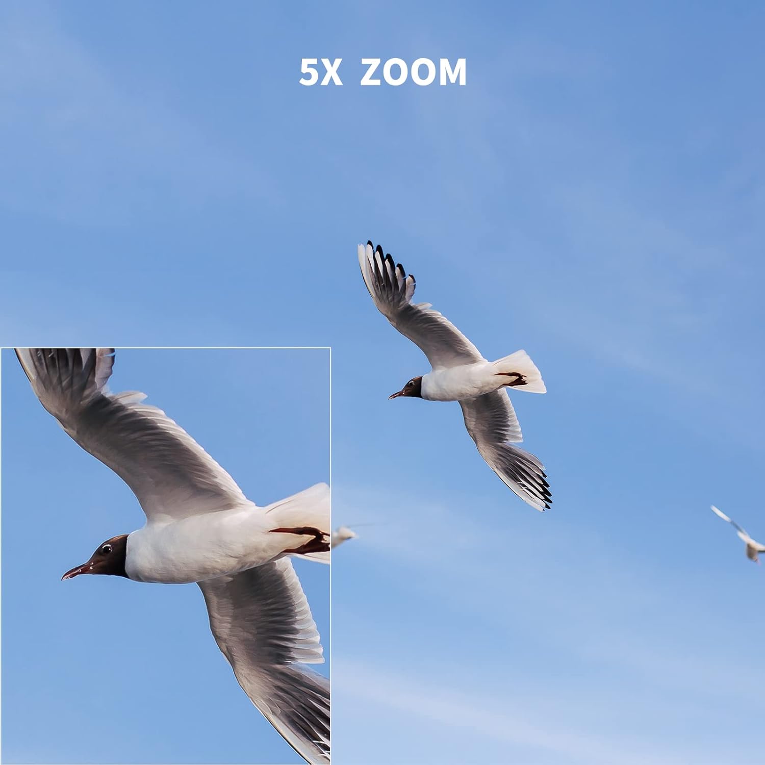 SJCAM SJ4000 Pro-Grade 4K Action Camera, 40MP OIS+EIS Stabilization Motorcycle Sport Camera, 170°FOV Waterproof Camera Underwater, 5X Zoom, Dual Batteries, 32G SD Card and Helmet Accessory Kit - Image 4